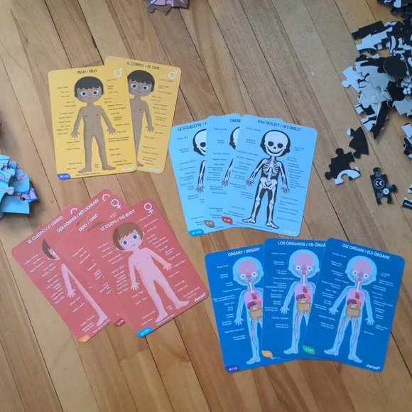 Janod 4 in 1 Puzzle Human Body Age 5+ Skeleton Glow In The Dark, Organs - Picture 13 of 15